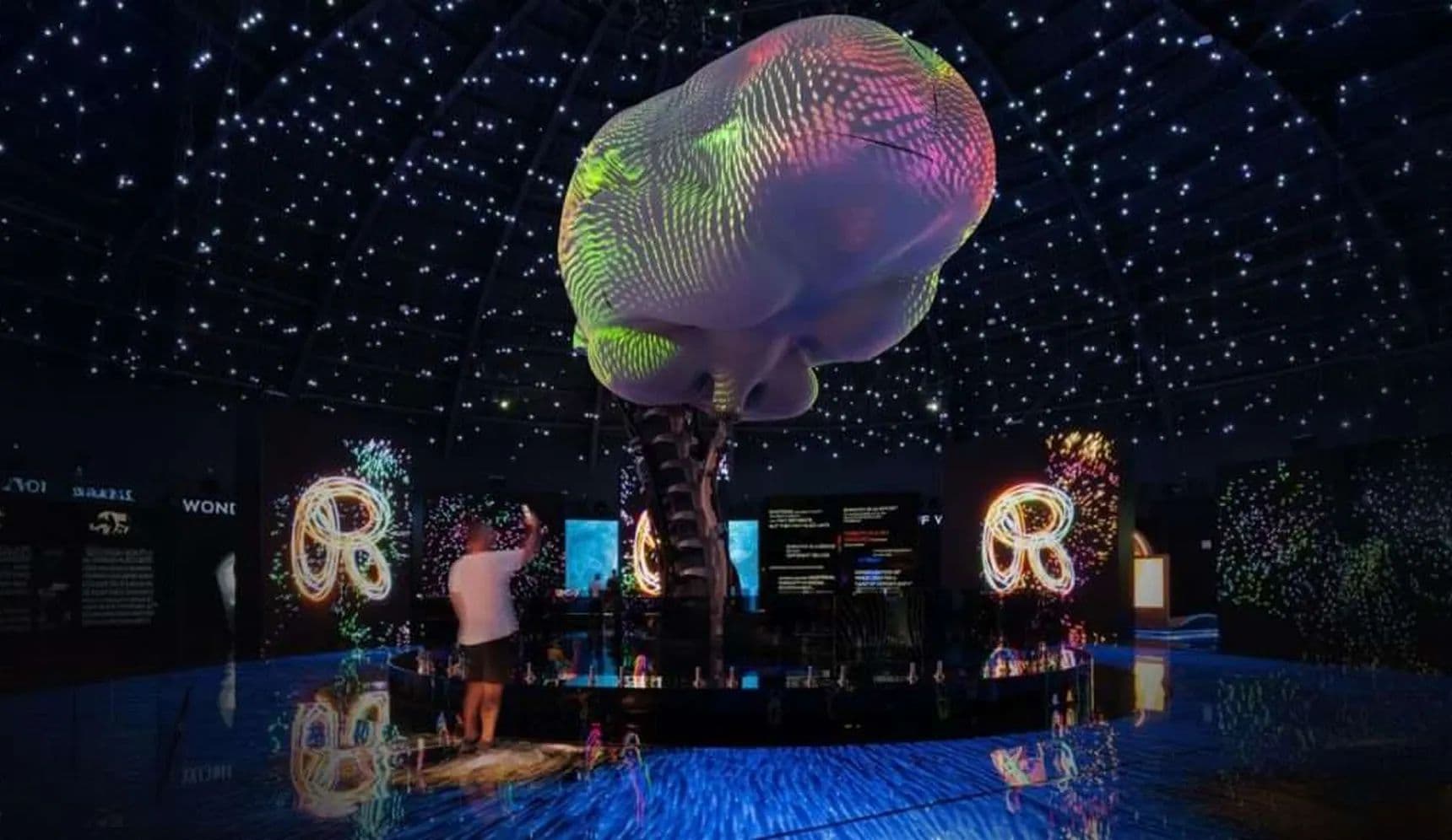 Trade Show & Exhibition Holograms